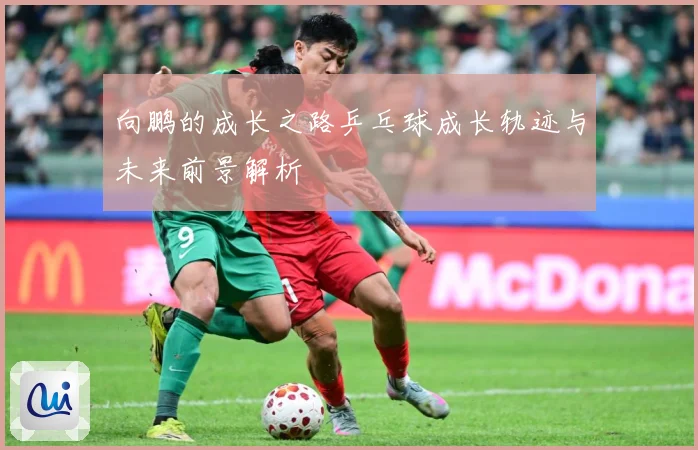 向鹏的成长之路乒乓球成长轨迹与未来前景解析