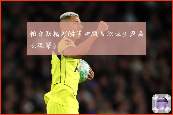帕尔默精彩瞬间回顾与职业生涯成长观察