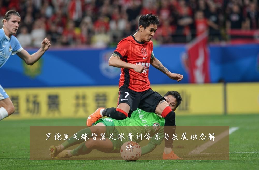 罗德里足球智慧足球青训体系与发展动态解析